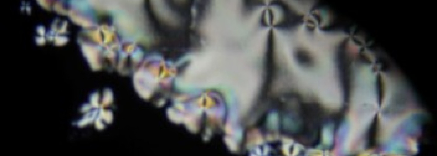 Nowa publikacja: krytyczny i szklisty dualizm w ciekłych kryształach z nanocząstkami C₆₀