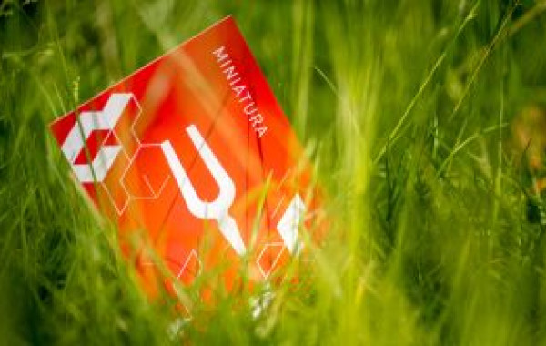 Grant NCN MINIATURA na badania bioaktywnych powłok poprawiających właściwości implantów kości
