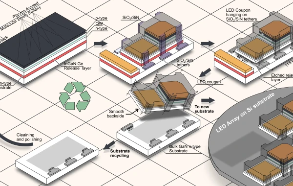 Transferable thin-film GaN LEDs