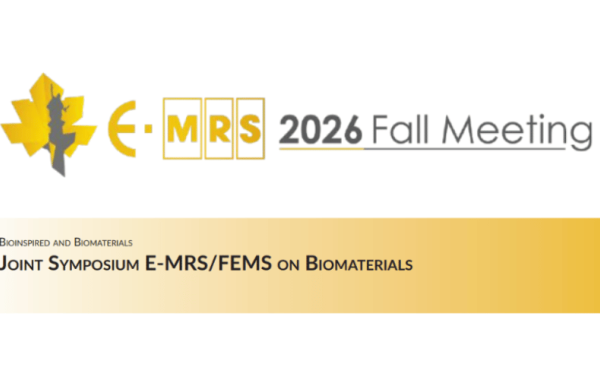 Wykład zaproszony prof. Witolda Łojkowskiego na konferencji E-MRS Fall Meeting 2026